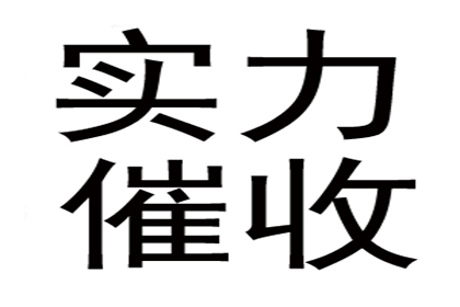 个人借款渠道及还款记录管理